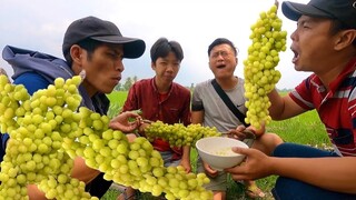 Đi Picnic Hoá Ra Ăn Chực Và Những Món Tuổi Thơ Của Bạn Và Tôi, Chùm Ruột, Bình Bát, Trái Sắn