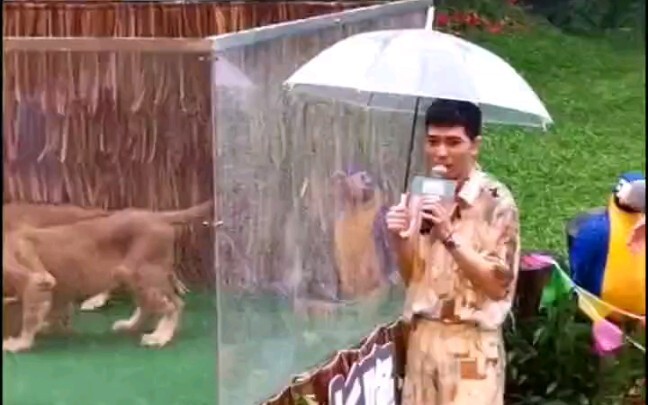 “雨神”萧敬腾回应广州下雨：抱歉！功力太强……广东人回答亮了