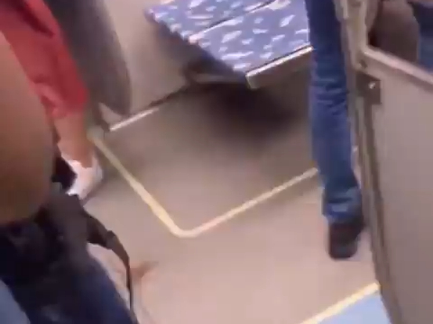 วัฒนธรรมอเมริกันนี่ก็ไม่กล้าจะวิจารณ์อะไรสักเท่าไร เคยไปมาหลายครั้งก็ยังไม่เข้าใจสาระสำคัญข้างในสักท