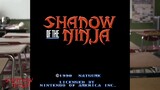 Shadow Of The Ninja โค่นอำนาจทรราช
