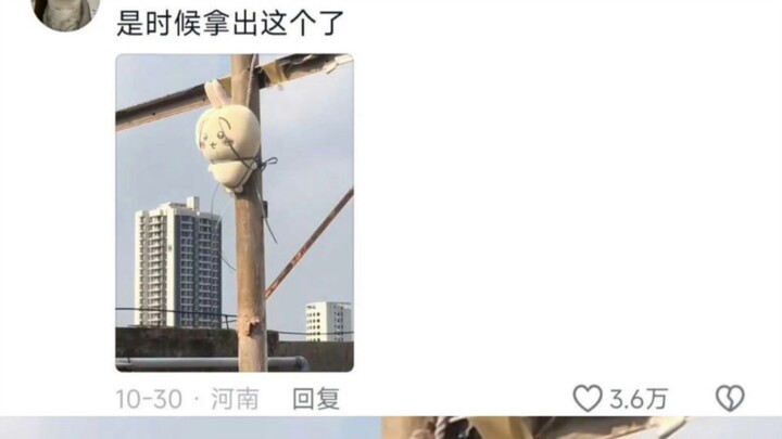 อินเทอร์เน็ตช่วยให้เรียนรู้ของจริงได้จริงๆ 🤣🤣🤣