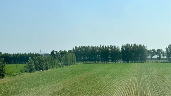 新発明低温廃棄物発電プラント