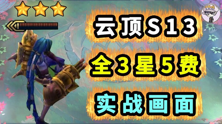 Genting S13! All 3-star 5-cost combat!