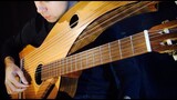Harry Potter (Hedwig's) Theme - 18 String Harp Guitar - Jamie Dupuis