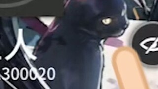 [Please Sister Lan] Account owner, did the master order you not to use Vishdel? ? ?