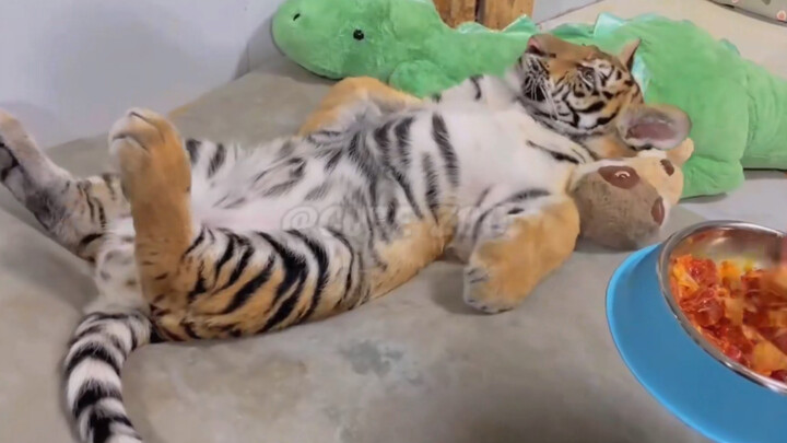 I’m so jealous of this laid-back, chill life!