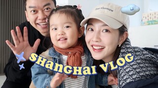 Wish granted! A surprise return home—Shanghai trip for the whole family, Ms. Dou's beloved dogs, and