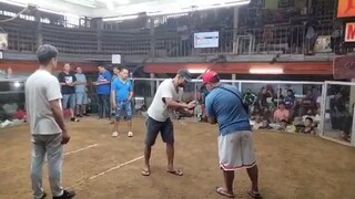 3 Sisters GF / CITATION SOLDIERS 2nd Fight (2 Hits Ulutan) CHAMPION 🏆