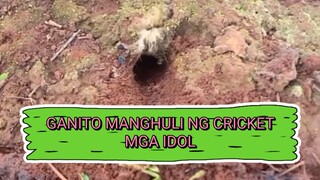 Ganito Manghuli Ng Cricket mga Idol