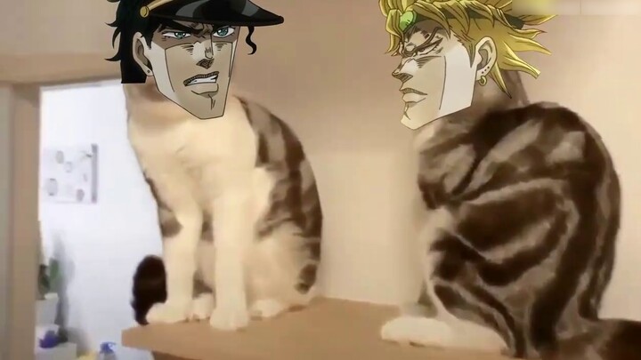 [คอลเลคชั่น] การผจญภัยสุดแปลกประหลาดของ DIO & Jotaro