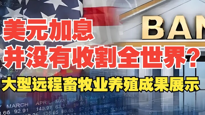 大殖子，地都洗不干净，还想着赚美元呢？