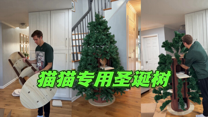 حضري شجرة عيد ميلاد خاصة بالقطط للكريسماس 🎄!