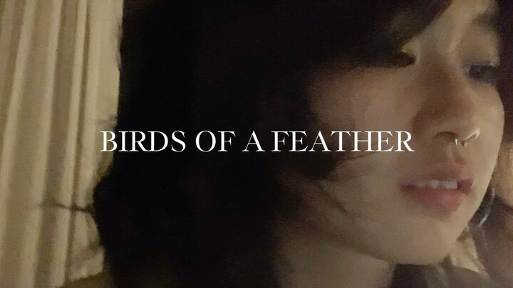 “Tôi sẽ yêu bạn cho đến khi chết” – bản cover Birds of a Feather