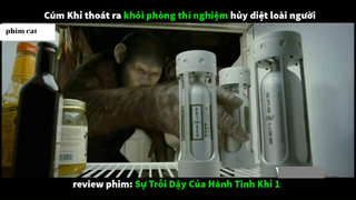 Tóm Tắt Sự tấn công khỉ 3#phimcat