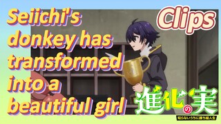 [The Fruit of Evolution]Clips |Seiichi's donkey has transformed into a beautiful girl