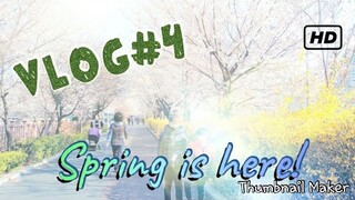 Spring Time @South Korea (Vlog#4)
