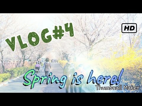 Spring Time @South Korea (Vlog#4)