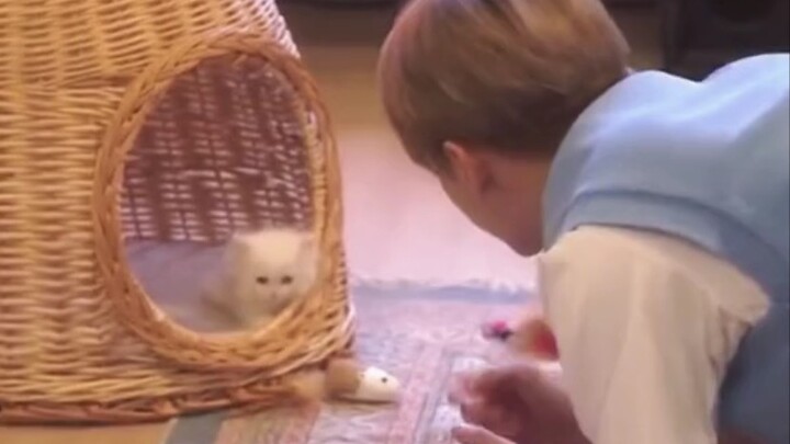 【เหวินจวิ้นฮุย】เจ้าแมวน้อยยังปรับตัวกับการกลายเป็นมนุษย์ไม่ได้ ยังคงมีนิสัยเดิมๆ อยู่เสมอ