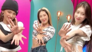 ITZY x 李军马菲亚+LOCO挑战