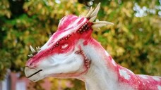 DINODAN BONE IN THE BACKYARD HDTV CILP 2