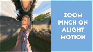 ZOOM PINCH ON ALIGHT MOTION