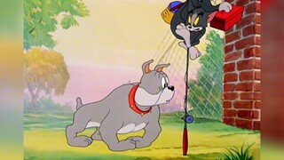 Suddenly I realized that the director of Tom and Jerry never took the audience as fools