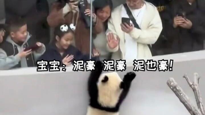 Baby: Ni Hao, Ni Hao, Ni Ye Hao!