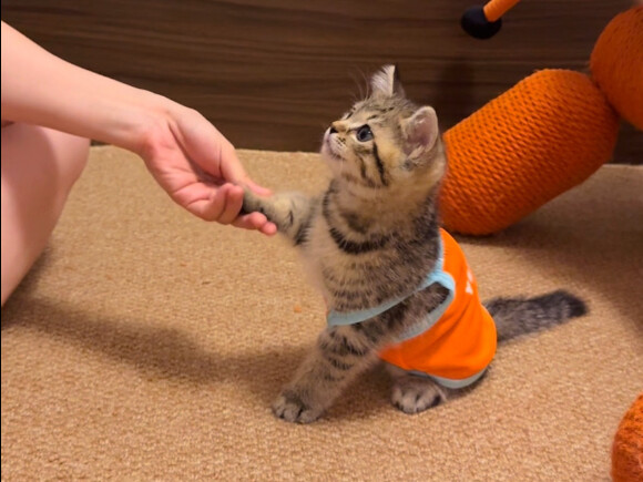 Dọn dẹp tí rồi đi học thôi 😧