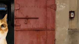 حفل الزفاف المتأخر 18 عاماً