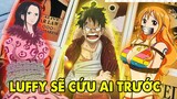 Thuyền Trưởng Luffy Vĩ Đại, Băng Mũ Rơm Mang Ơn Luffy Như Thế Nào _