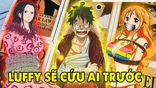 Thuyền Trưởng Luffy Vĩ Đại, Băng Mũ Rơm Mang Ơn Luffy Như Thế Nào _