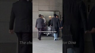 Elevator Dino will go down in the history 😌#seventeen #dino