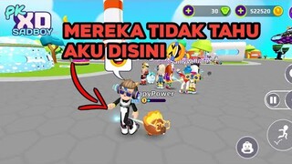 BUG TAK TERLIHAT DI PK XD😱 | INVISIBLE BUG