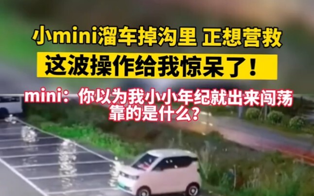 小小身躯，大大能力"五菱宏光miniev