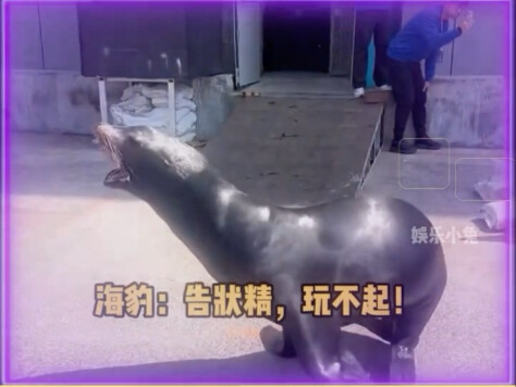 Thought it was abstract—turns out it’s live footage!