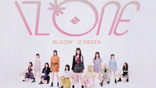 【4k】所有瞬间都如此美丽耀眼 🎪FIESTA-武汉12人