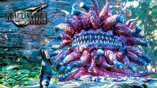 Final Fantasy 7 Rebirth - Great Malboro Boss Fight (PS5)