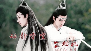 【王一博 蓝忘机】动静皆宜  舔颜打戏混剪