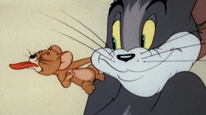 Jealous! Two cats fight over Jerry the mouse