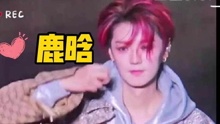 Lu Han’s music festival really has fans exclaiming, “Is it really this tough?” Aaaaaah!