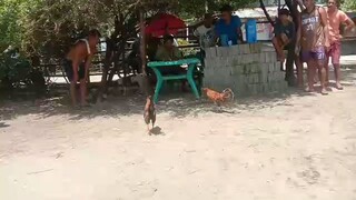aug 6 2025 pula vs gold na abuhin panalo Ang pula
