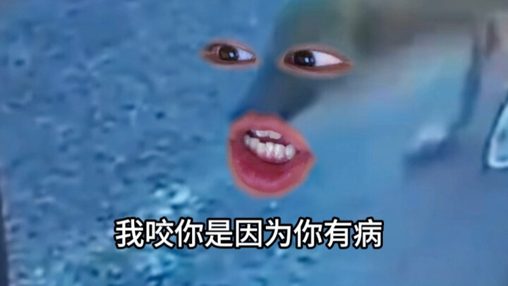 《洞宾，好久不见》