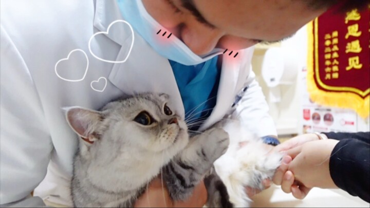 Para dokter pun terpancing sampai jadi manja! Pemeriksaan kesehatan kucing betina kecil ini lembut, 