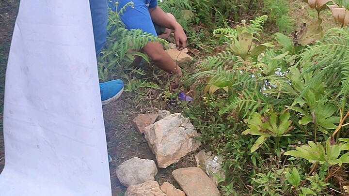 SHADOWS BURIAL😭😭