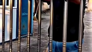 「绝对想不到」