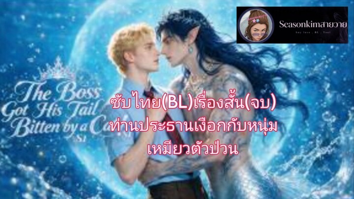 ซับไทย(BL)เรื่องสั้น(จบ)ท่านประธานเงือกกับหนุ่มเหมียวตัวป่วน