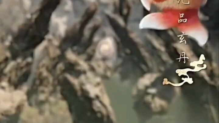 หยู่เจา ศิษย์สำนักอู่สิง