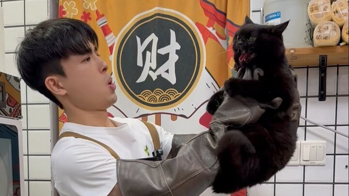 Anh mèo đen vô địch chăm sóc và làm sạch