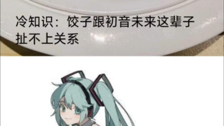 Fun Fact: There’s No Way Dumplings Could Ever Be Related to Hatsune Miku!
