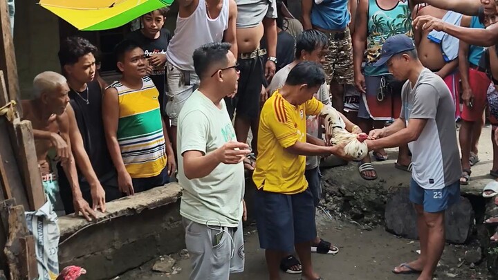 Dalawang Bakal